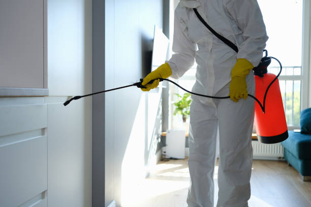 Professional Mold Removal in Harrisville, WV