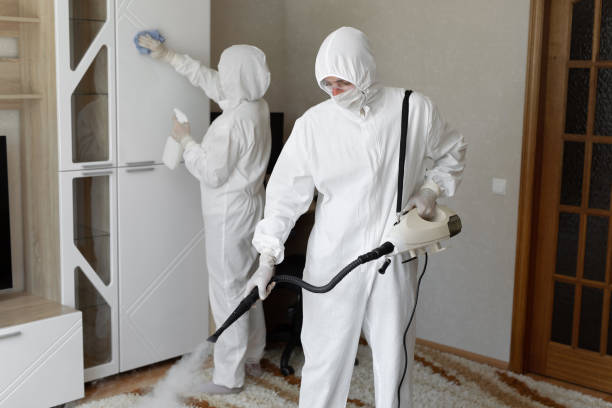 Best Attic Mold Removal  in Harrisville, WV